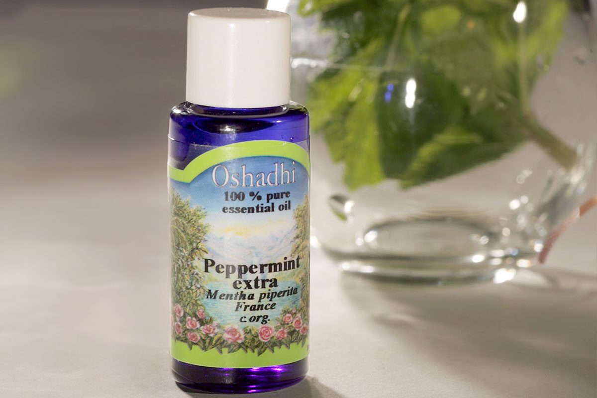 Best Ways To Protect Your Pantries Gettyimages 564059215