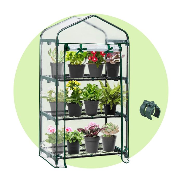 Eagle Peak Mini Greenhouse Via Amazon.com