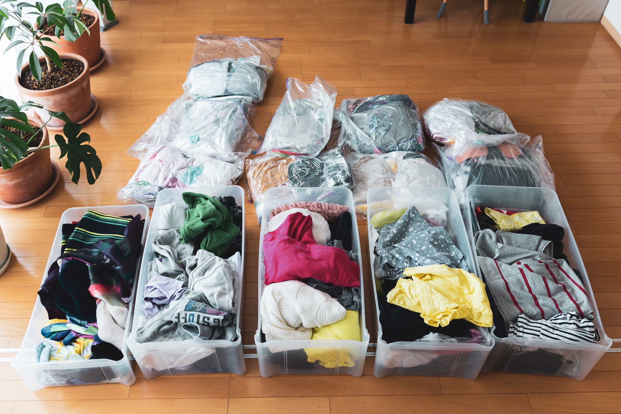 Woman organizes clothes in living room of her home