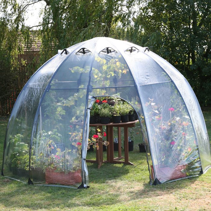 Tierra Garden Haxnicks Greenhouse Via Wayfair.com