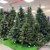 Are Your Seasonal Allergies Acting Up? Your Fake Christmas Tree May Be to Blame