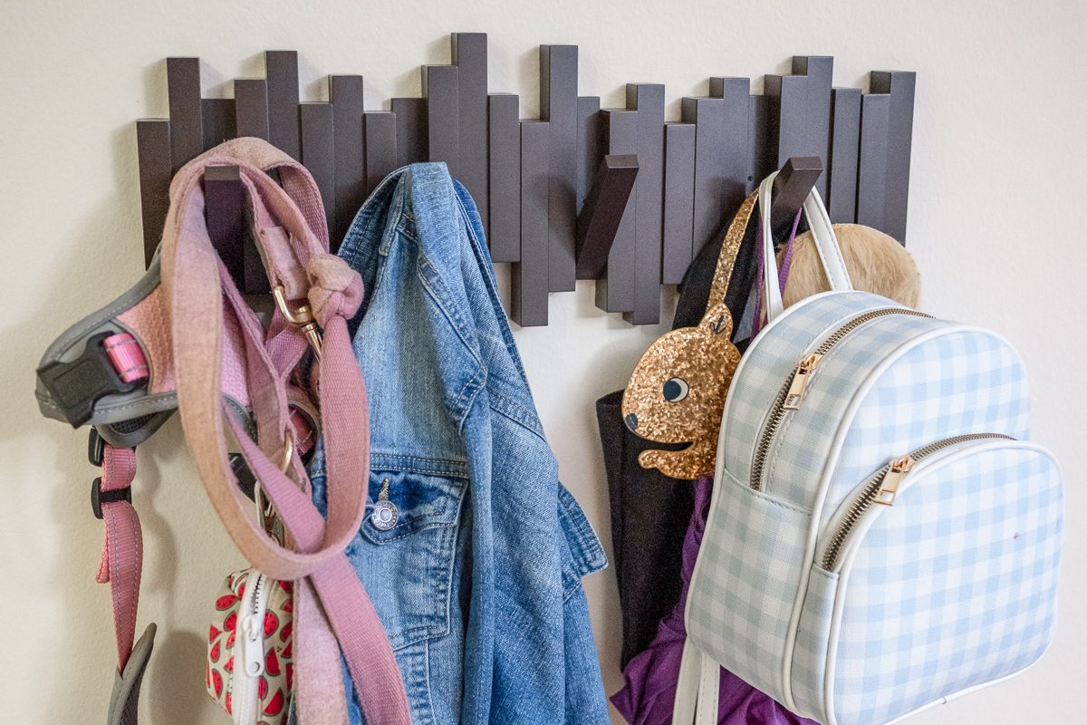 pet leash, clothes and bag on hooks