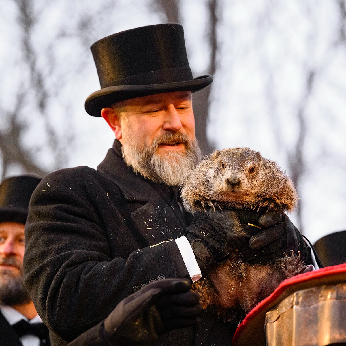 Phil Saw His Shadow: Tips to Survive 6 More Weeks of Winter