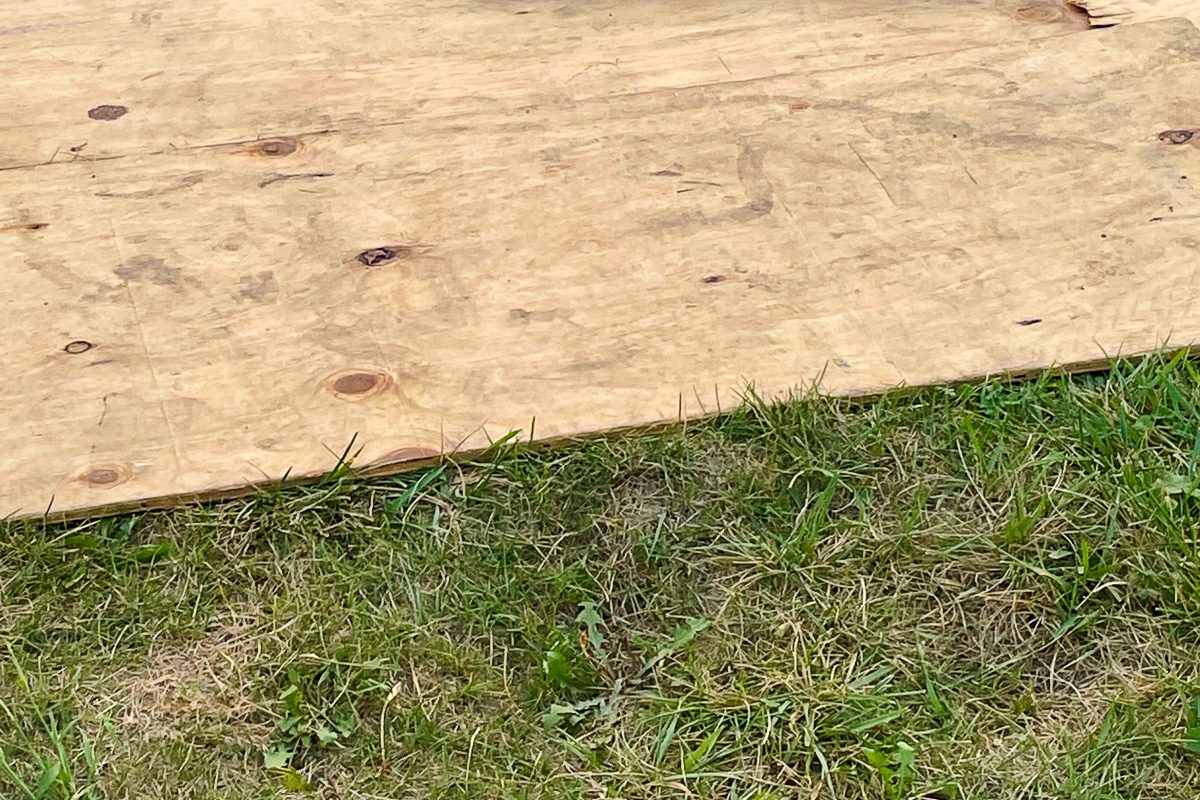 plywood sheet on grass